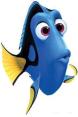 dori